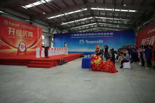 外商加大在奉賢投資力度，隆福拉索新工廠開業帶動區域經濟